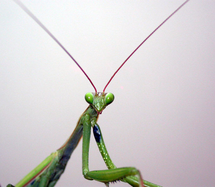 hi hi hi..che ridere...