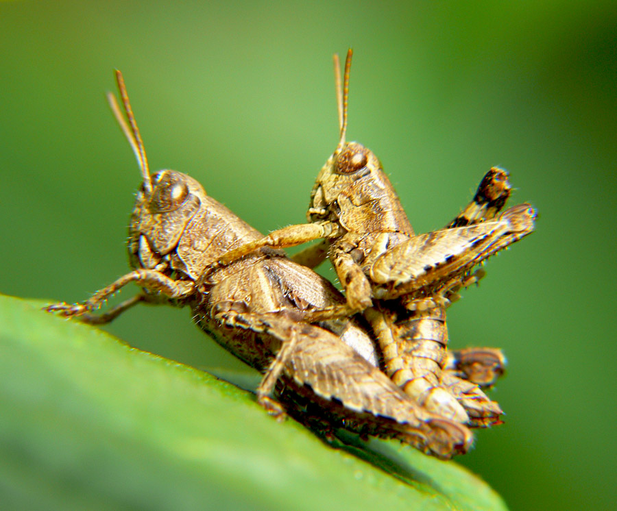 anche questo � amore ?