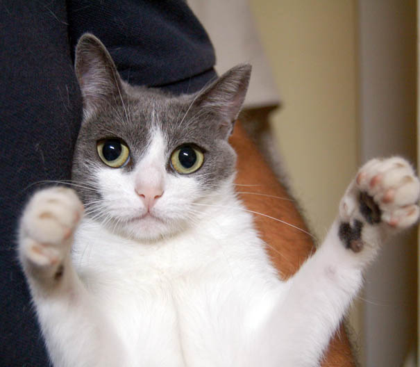 Dobbiamo stare vicini vicini... :)