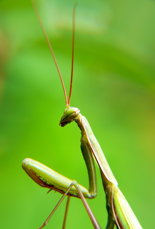 ma che hai da guardare!!!