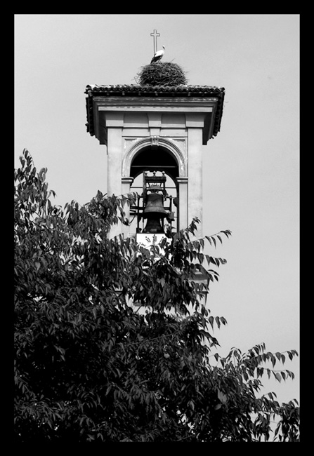 piccola vedetta lombarda!