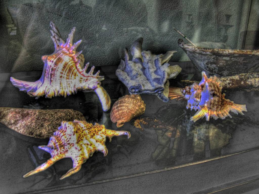 Composizione marina-hdr