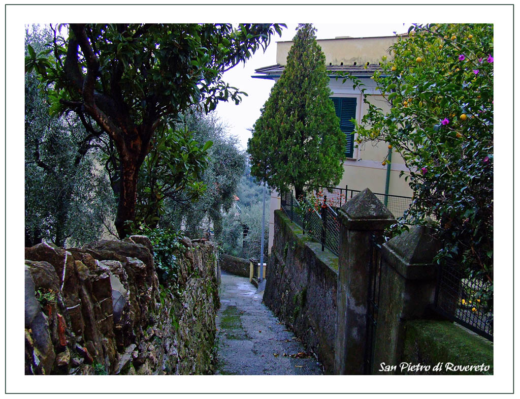 L'odore del bagnato...