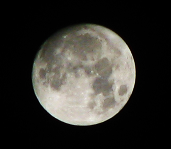 Luna piena