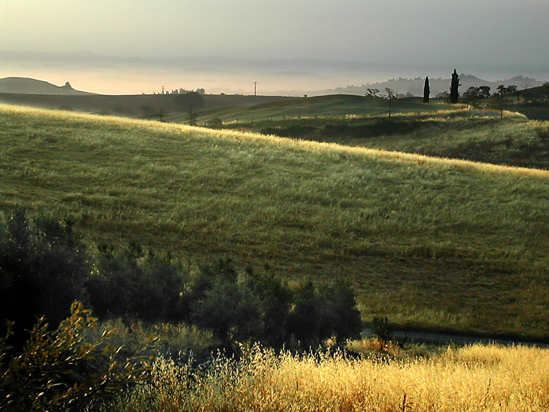toscana luglio 2006