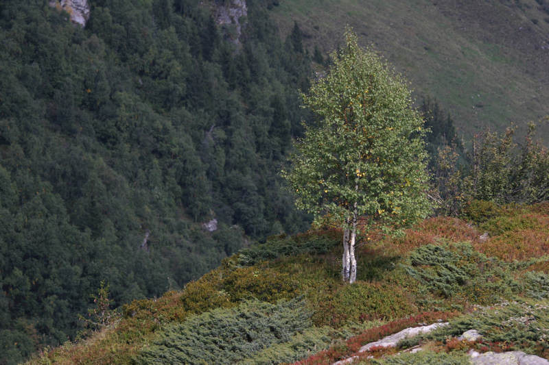primi sentori d'autunno