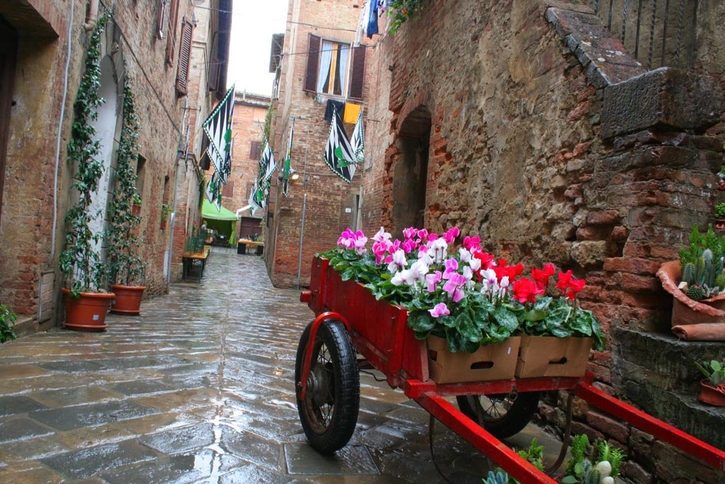Carro di fiori a buonconvento