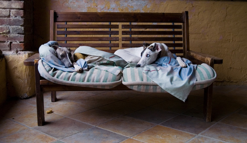 tanto non te la da'...