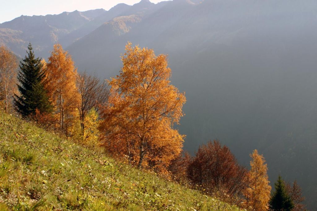 Autunno nelle Orobie Valtellinesi