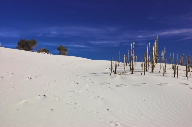 paesaggio...dune di Porto Pino