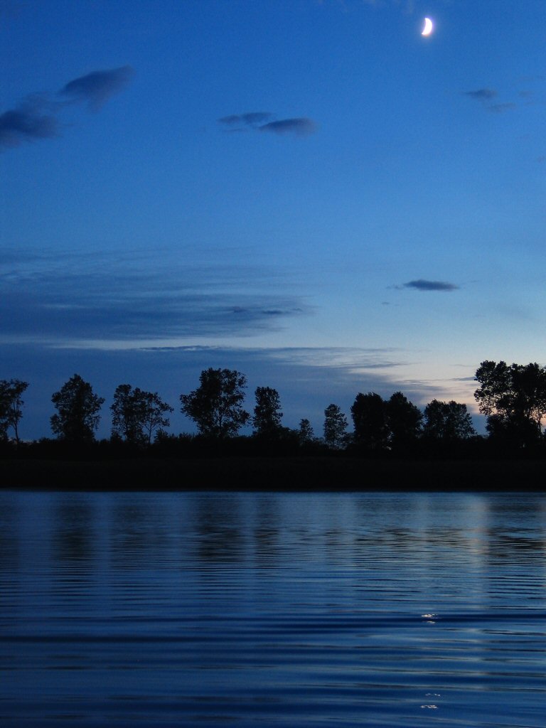 Piccola Luna Guarda Il Fiume