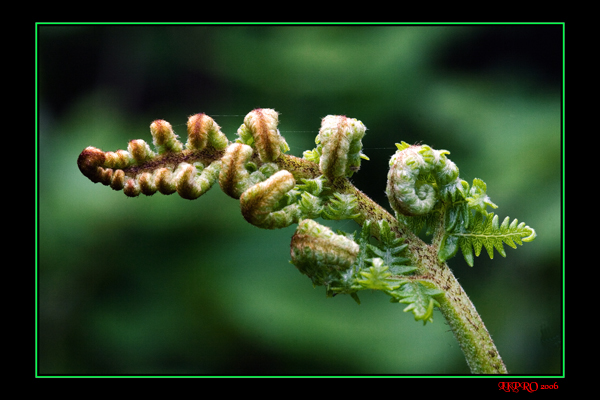 abbraccio dal lato oscuro
