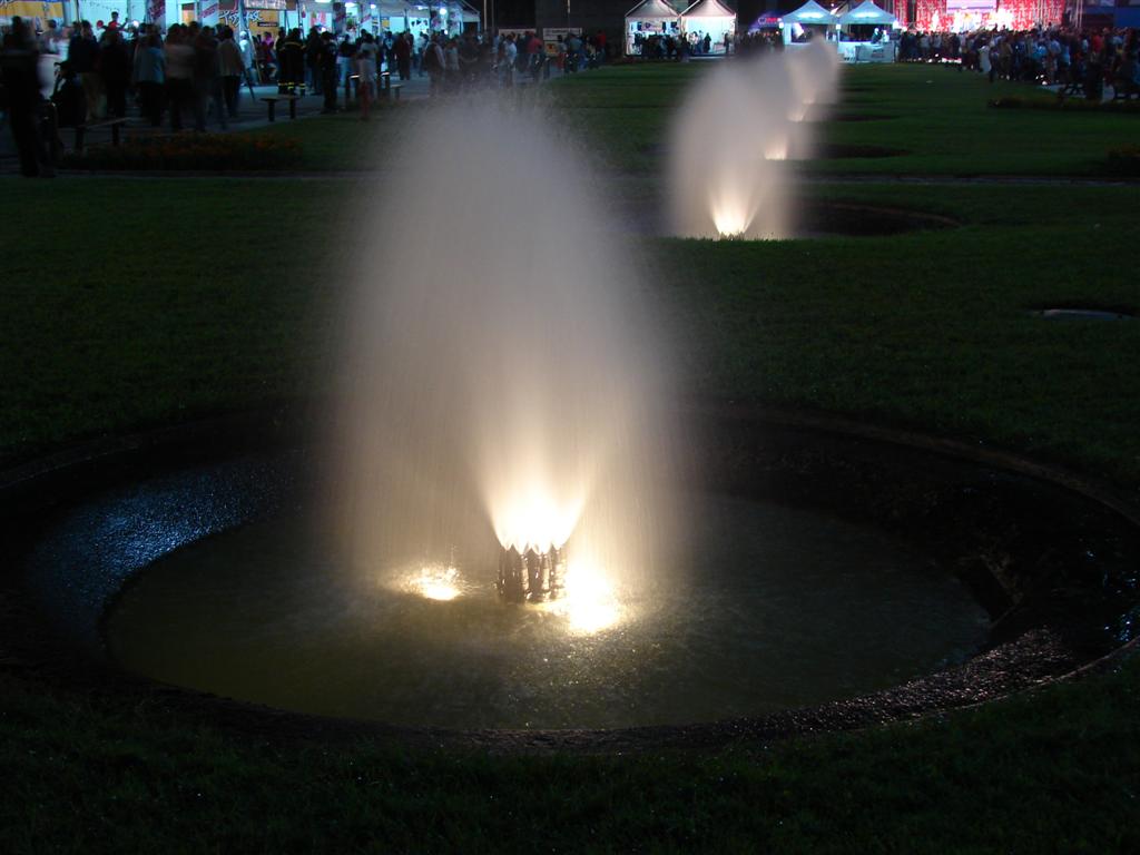 Tutte in riga come ballerine spumeggianti