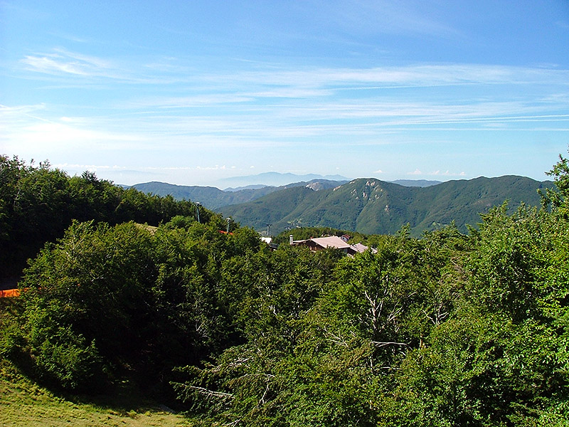 Doganaccia