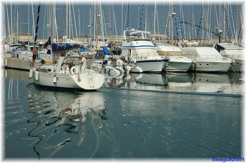 Riflessi Porto di Roma