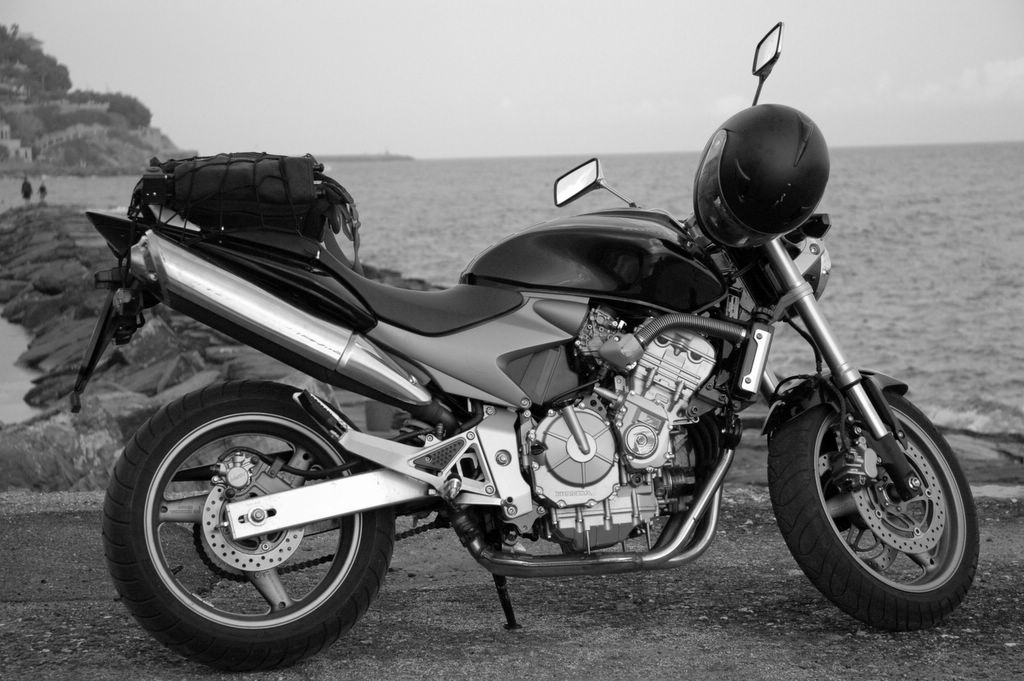 Tutto quello che serve