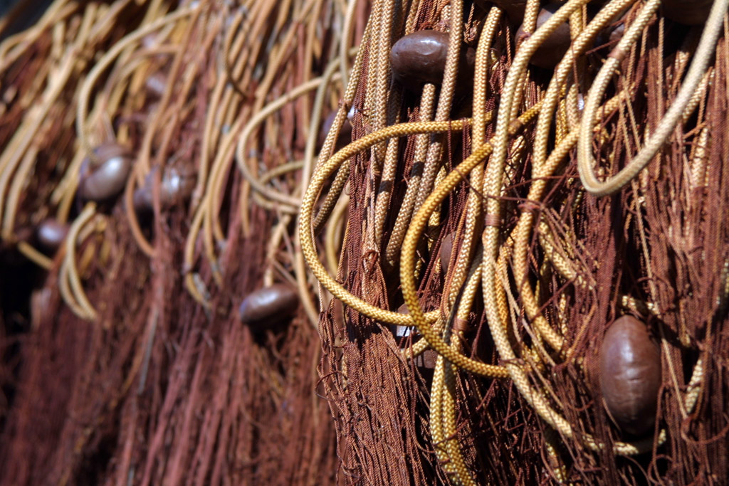 Concetto cromatico 7437