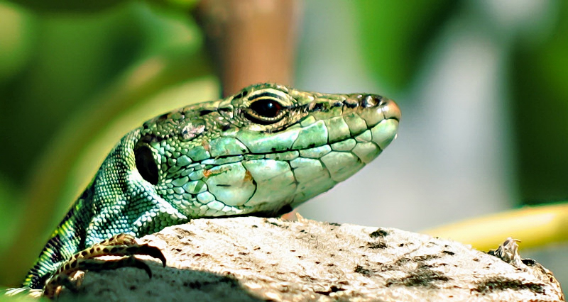 aaahhh!!!!quanto coce sto' sole....mmmmhhhhhh!!!