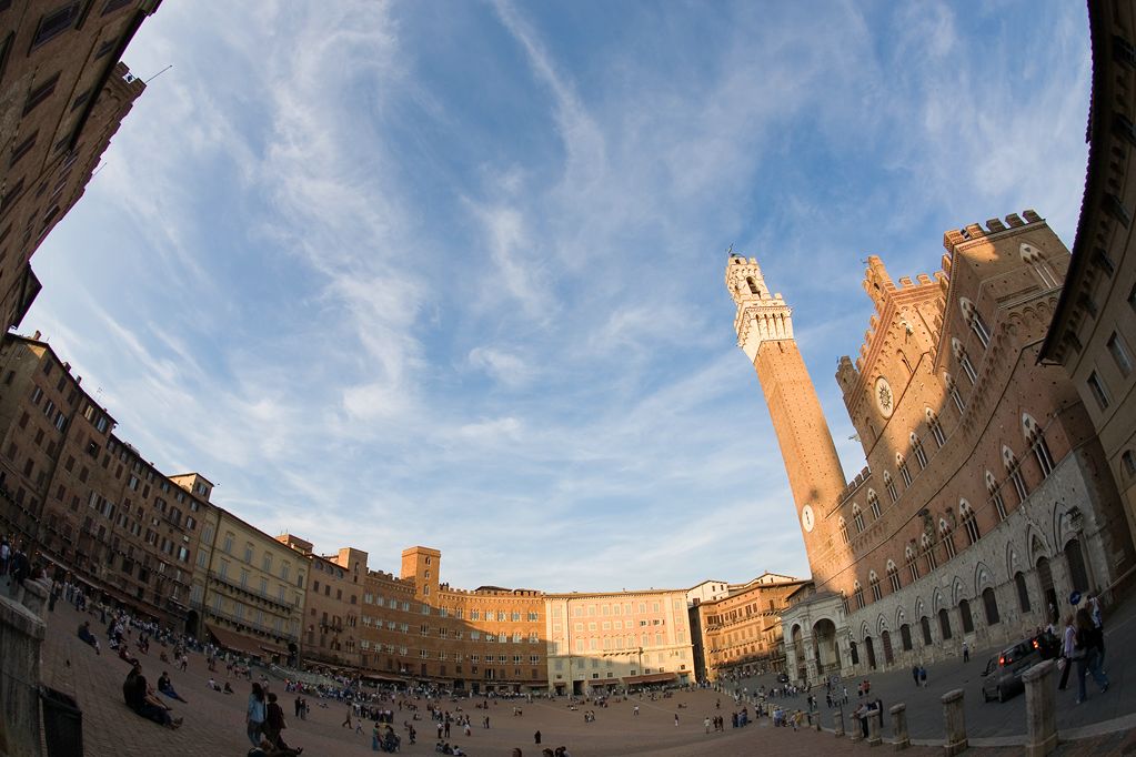 Siena 1