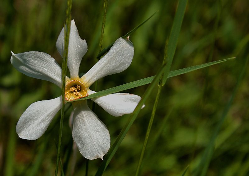 come sono stanco!!!!