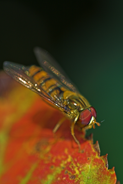 risucchiata dall'ignoto