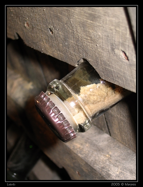 Lieviti con cornice nera