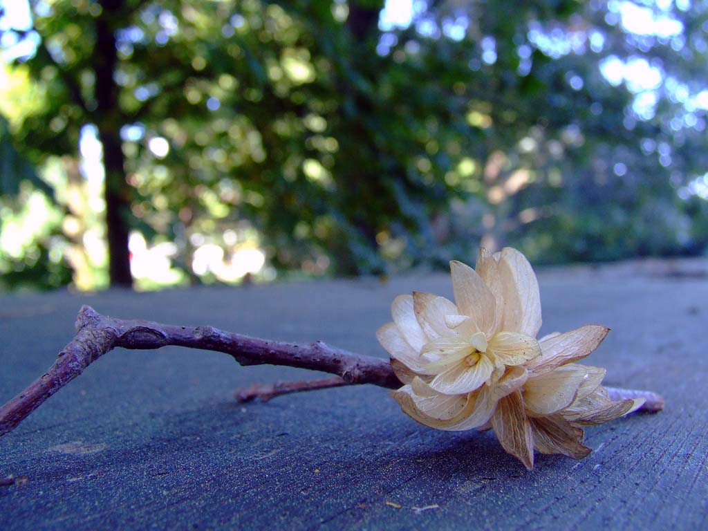 Fragile...atto secondo