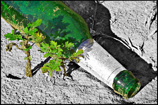 la rinascita di lilliput