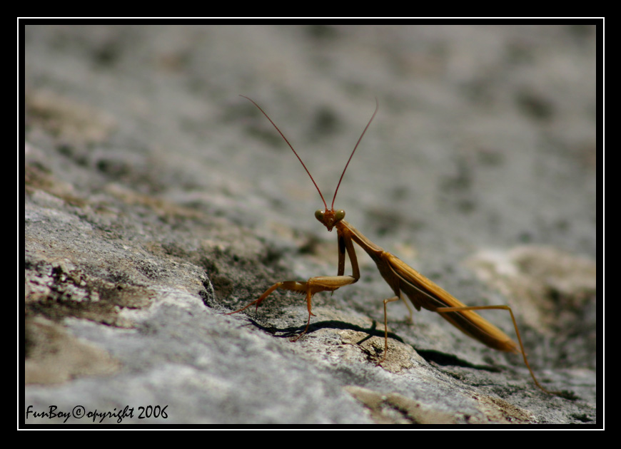 Oh ma che ti guardi?