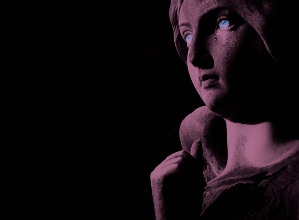 il bianconiglio mor� qui