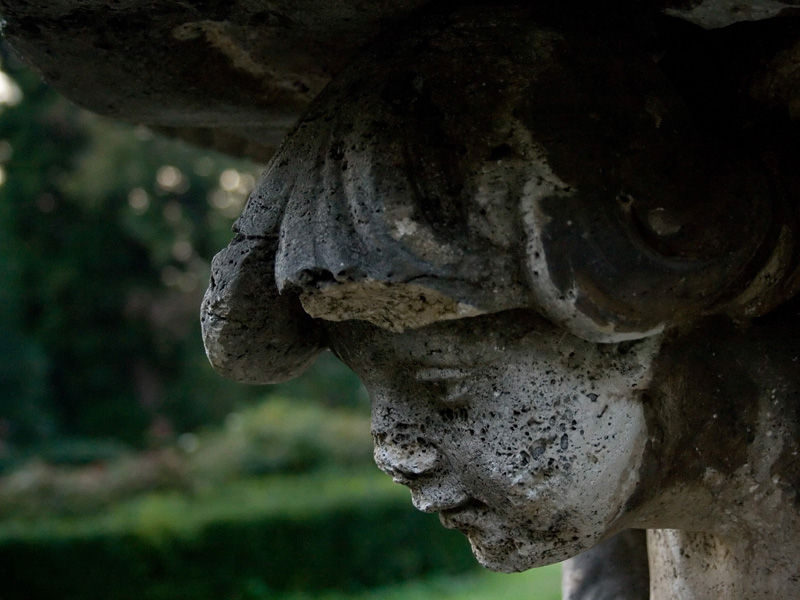 Fanciullo per l'eternit�