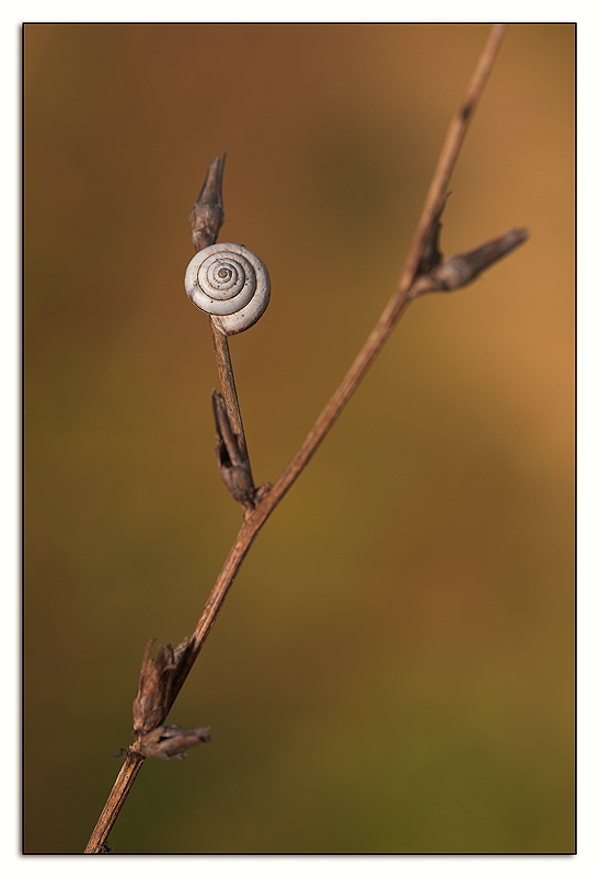 seconda composizione