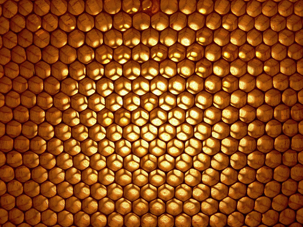 Architettura della api (contest 6� classificata)