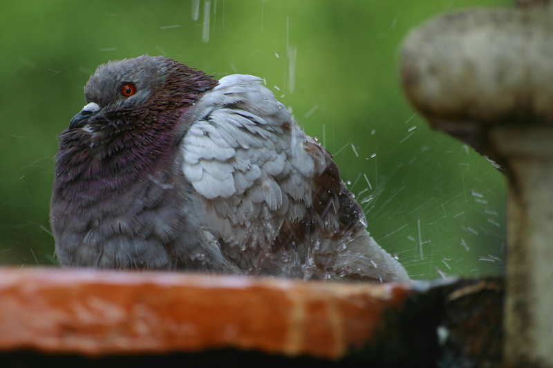 che caldo con 'ste penne!