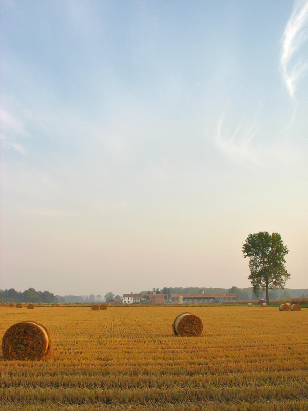 Campagna d'autunno...