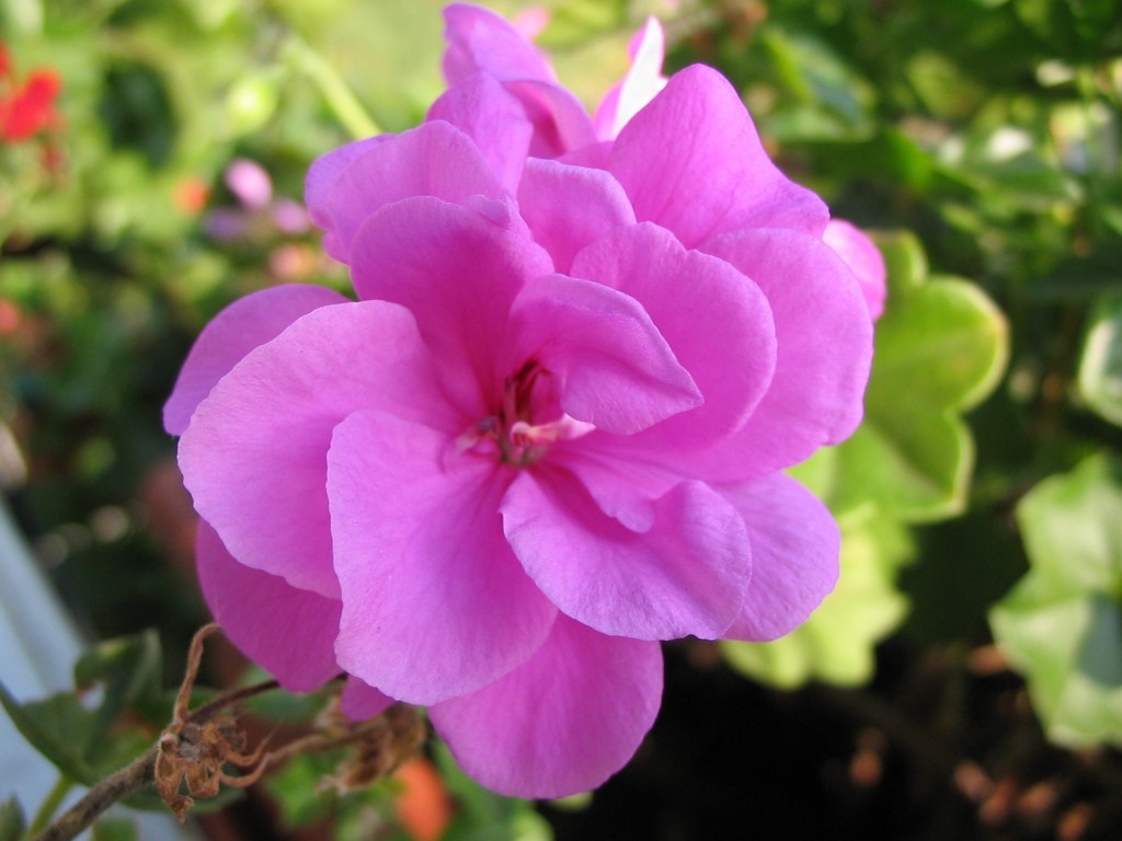 la mia miglior macro! (per ora!)