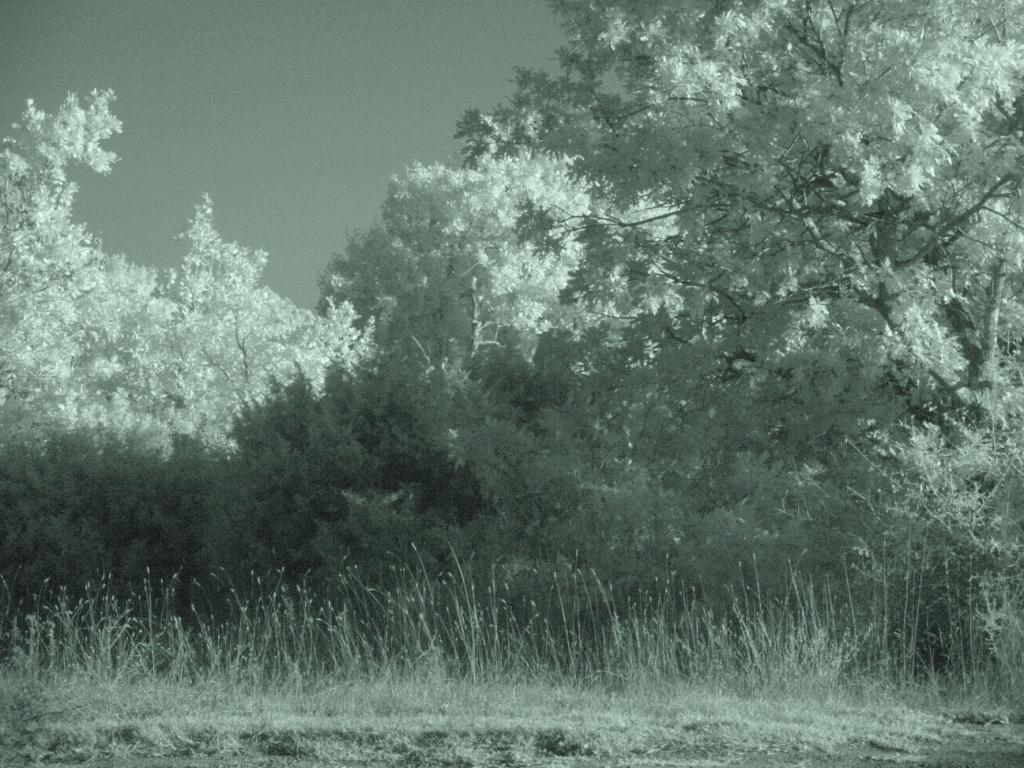 La mia terra all'infrarosso