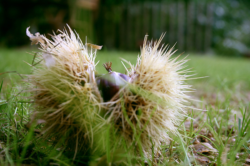 Autunno alle porte...