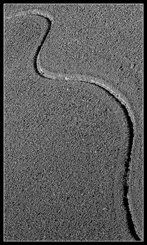 semplicemente una linea