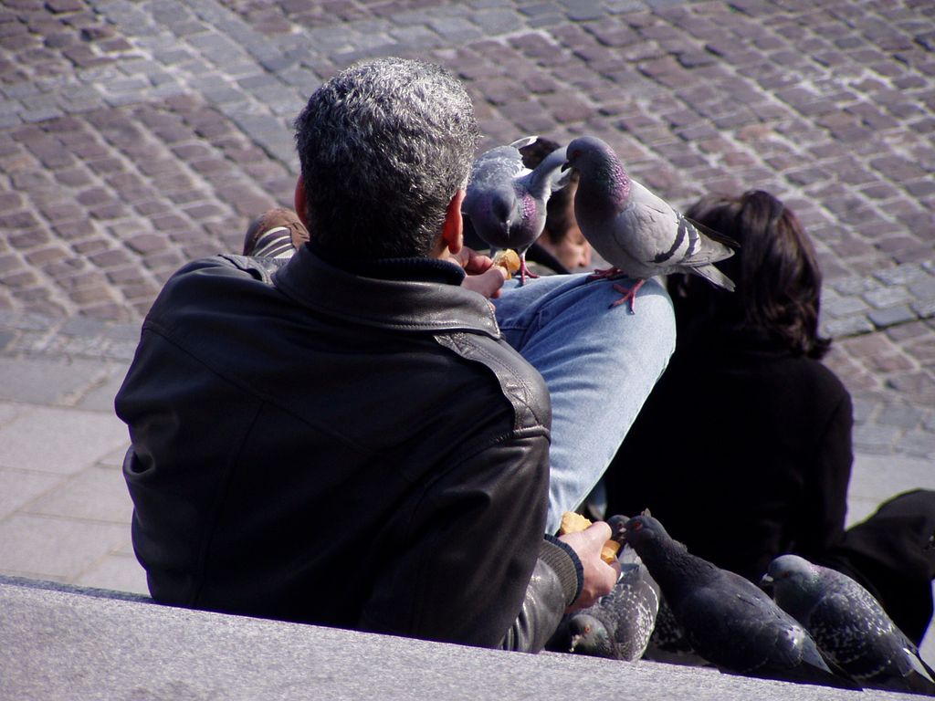 The last Parisians 3