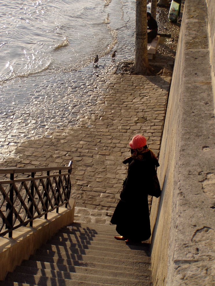 The Last Parisians 1