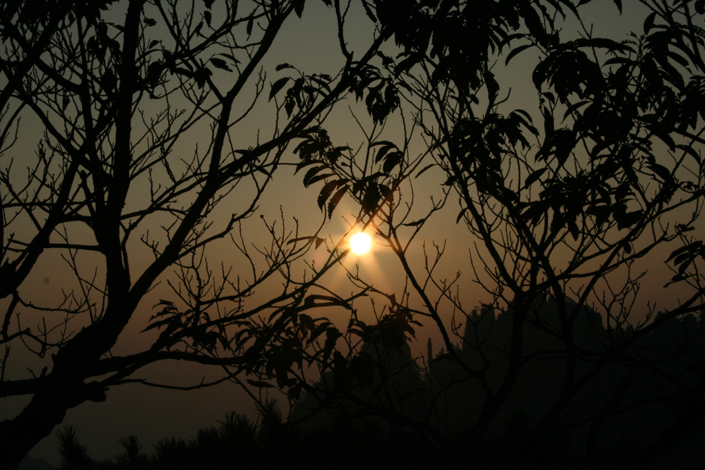 l'alba di un veccio mondo