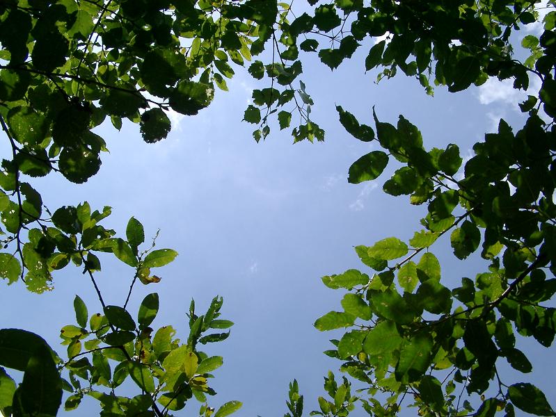 Sguardo verso l'infinito