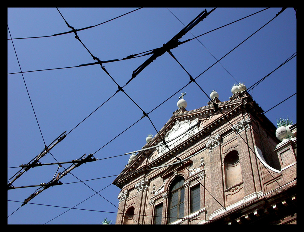 Dov'� il ragnetto?!?