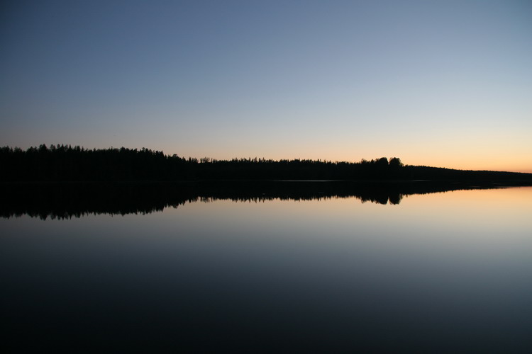 dimmi cosa ci vedi...