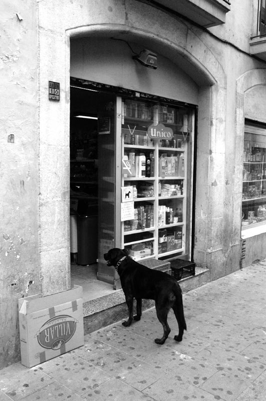 Vietato l'ingresso ai cani neri