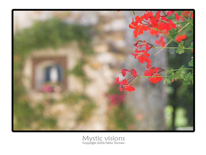 Mystic visions