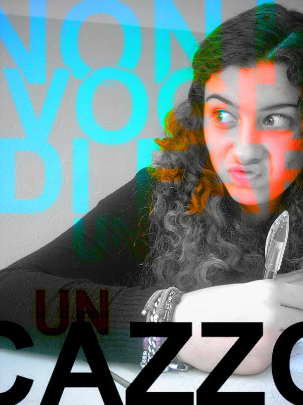 non ho voglia di fare un..