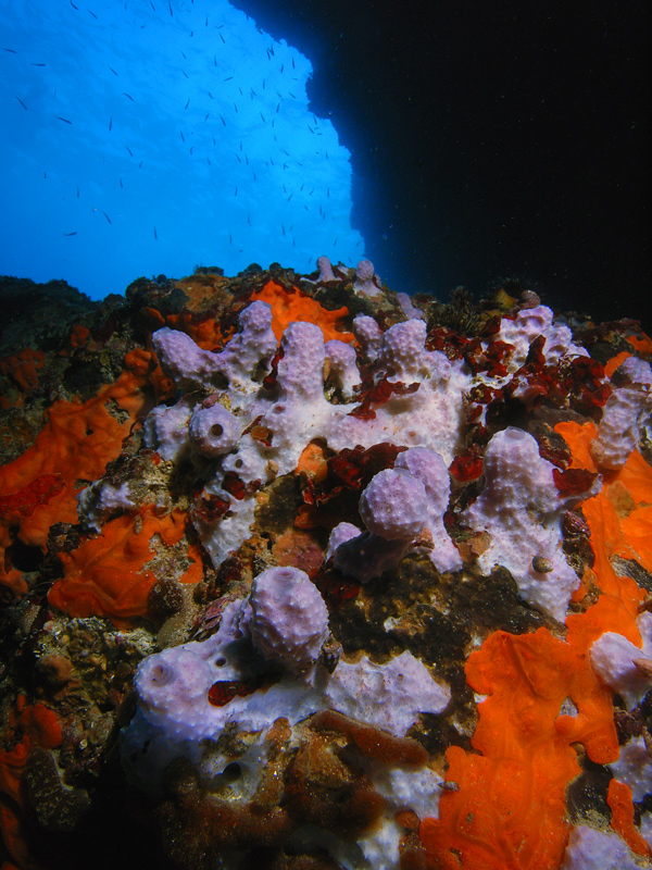 Grotta della Madonnina