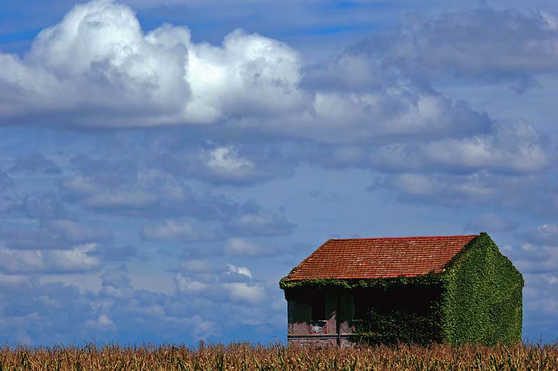 La casa tra le nuvole